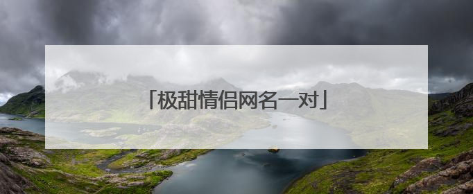 极甜情侣网名一对