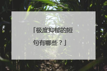 极度抑郁的短句有哪些？