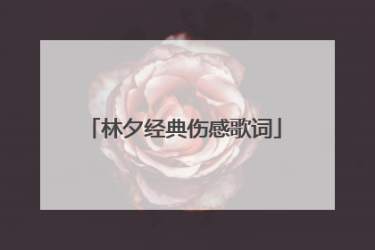 林夕经典伤感歌词