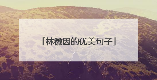 林徽因的优美句子