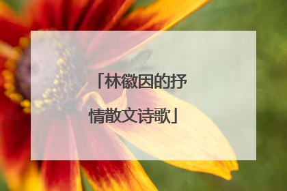林徽因的抒情散文诗歌