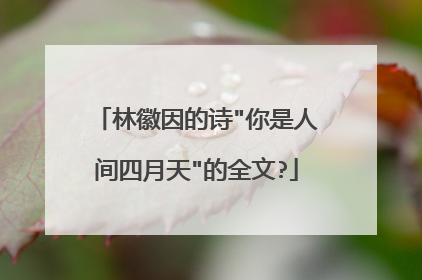 林徽因的诗