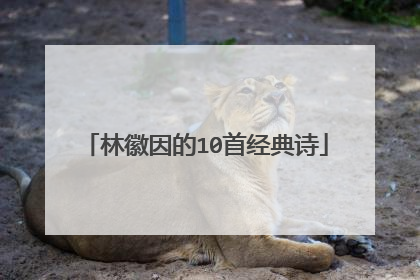 林徽因的10首经典诗