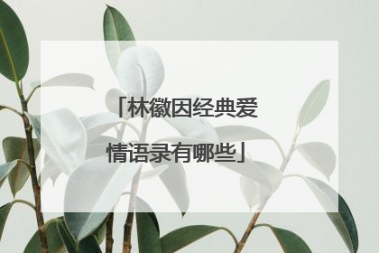 林徽因经典爱情语录有哪些