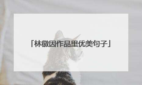 林徽因作品里优美句子