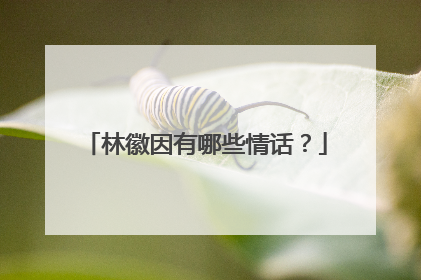 林徽因有哪些情话?