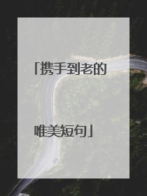携手到老的唯美短句