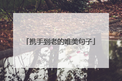 携手到老的唯美句子