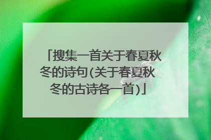 搜集一首关于春夏秋冬的诗句(关于春夏秋冬的古诗各一首)