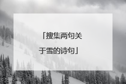 搜集两句关于雪的诗句