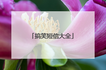 搞笑短信大全