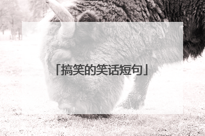 搞笑的笑话短句