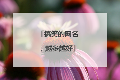 搞笑的网名，越多越好