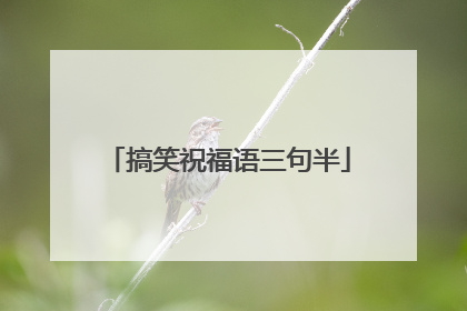 搞笑祝福语三句半