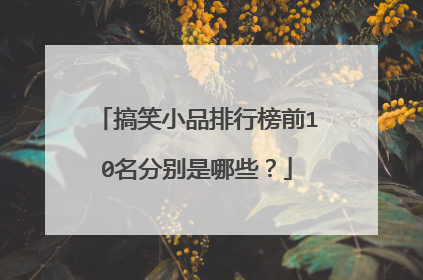 搞笑小品排行榜前10名分别是哪些?