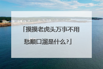 摸摸老虎头万事不用愁顺口溜是什么?