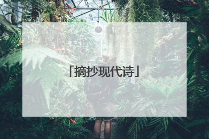 摘抄现代诗