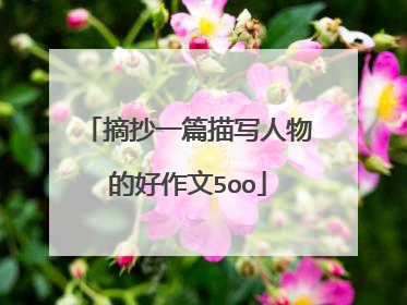 摘抄一篇描写人物的好作文5oo