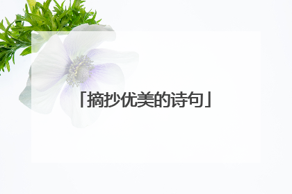 摘抄优美的诗句