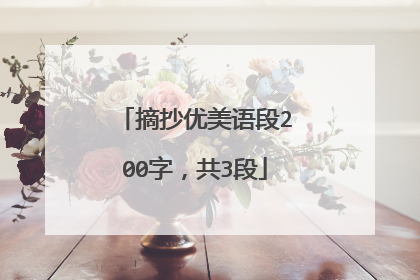 摘抄优美语段200字,共3段