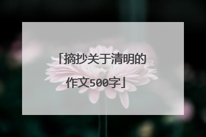 摘抄关于清明的作文500字