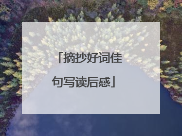 摘抄好词佳句写读后感