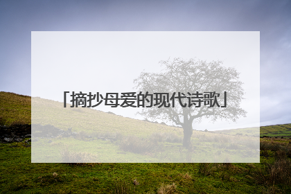 摘抄母爱的现代诗歌