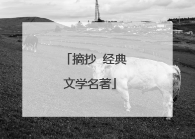 摘抄 经典文学名著