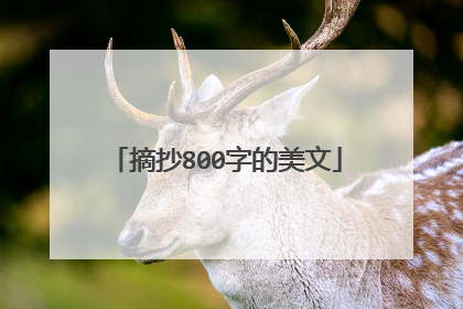 摘抄800字的美文