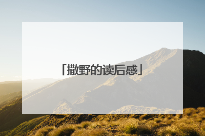 撒野的读后感