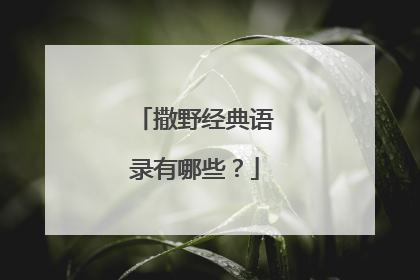 撒野经典语录有哪些?