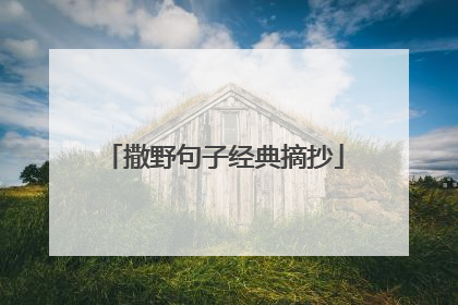 撒野句子经典摘抄