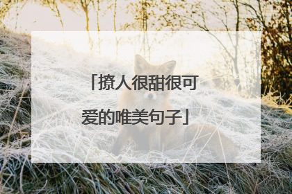 撩人很甜很可爱的唯美句子