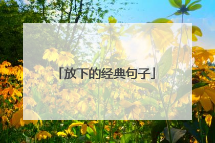 放下的经典句子