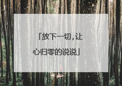 放下一切,让心归零的说说