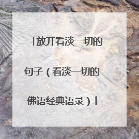 放开看淡一切的句子（看淡一切的佛语经典语录）