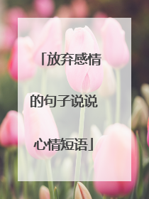 放弃感情的句子说说心情短语