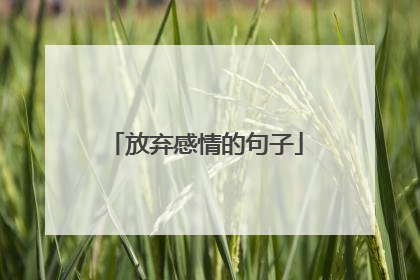 放弃感情的句子