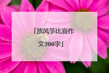 放风筝比赛作文300字