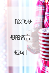 放飞梦想的名言短句