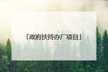 政府扶持办厂项目