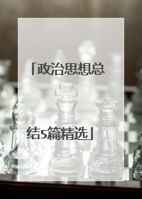 政治思想总结5篇精选