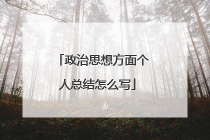 政治思想方面个人总结怎么写