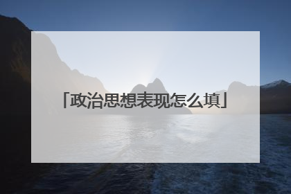 政治思想表现怎么填