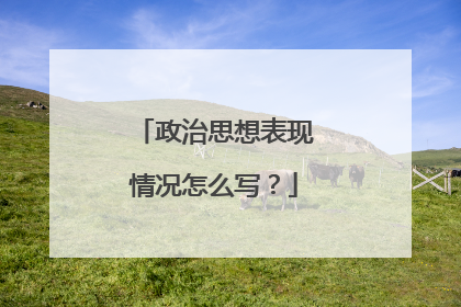 政治思想表现情况怎么写?