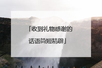 收到礼物感谢的话语简短精辟