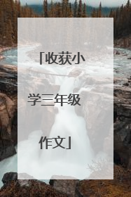 收获小学三年级作文