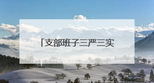 支部班子三严三实对照检查材料3篇