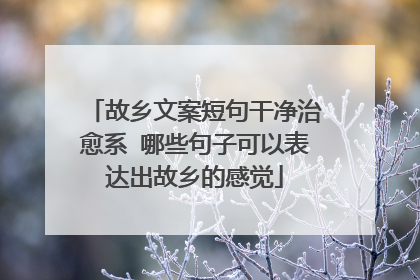 故乡文案短句干净治愈系 哪些句子可以表达出故乡的感觉