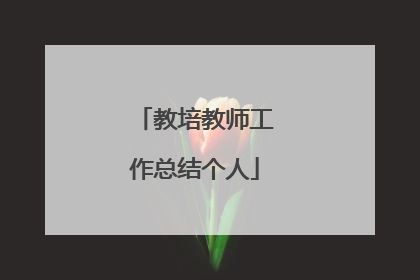 教培教师工作总结个人